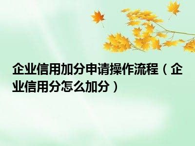 企业信用加分申请操作流程（企业信用分怎么加分）