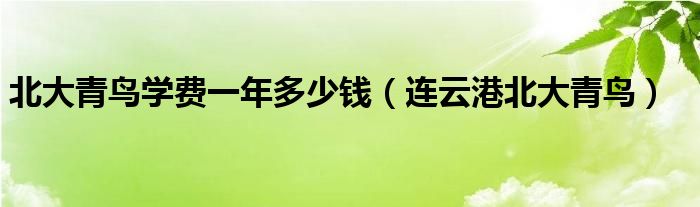  北大青鸟学费一年多少钱（连云港北大青鸟）