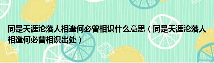 同是天涯沦落人相逢何必曾相识什么意思（同是天涯沦落人相逢何必曾相识出处）