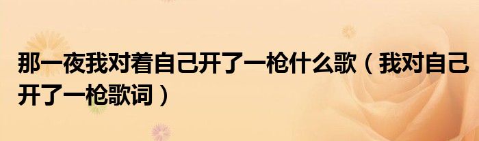 那一夜我对着自己开了一枪什么歌（我对自己开了一枪歌词）