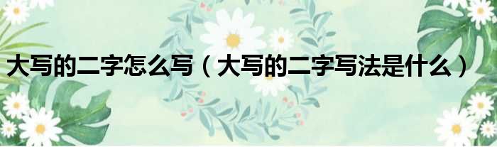 大写的二字怎么写（大写的二字写法是什么）