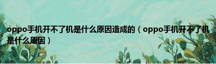 oppo手机开不了机是什么原因造成的（oppo手机开不了机是什么原因）