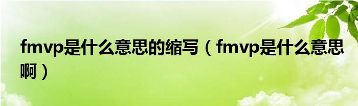 fmvp是什么意思的缩写（fmvp是什么意思啊）