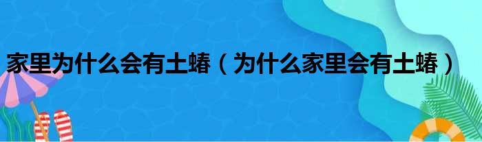 家里为什么会有土蝽（为什么家里会有土蝽）