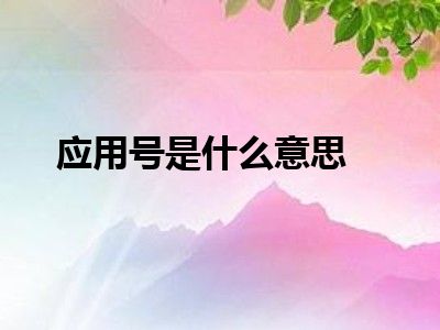 应用号是什么意思