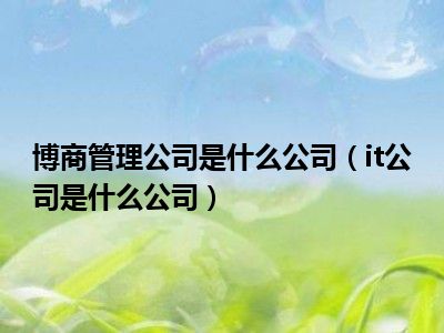 博商管理公司是什么公司（it公司是什么公司）