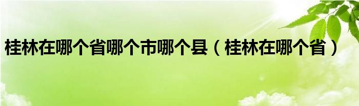  桂林在哪个省哪个市哪个县（桂林在哪个省）