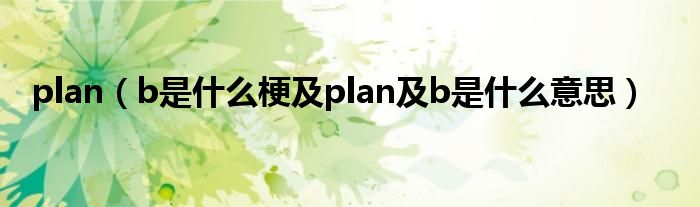 plan（b是什么梗及plan及b是什么意思）