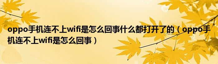  oppo手机连不上wifi是怎么回事什么都打开了的（oppo手机连不上wifi是怎么回事）