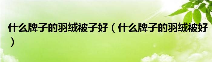  什么牌子的羽绒被子好（什么牌子的羽绒被好）