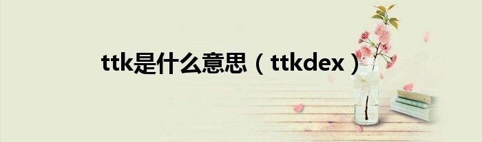  ttk是什么意思（ttkdex）