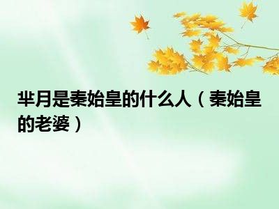 芈月是秦始皇的什么人（秦始皇的老婆）