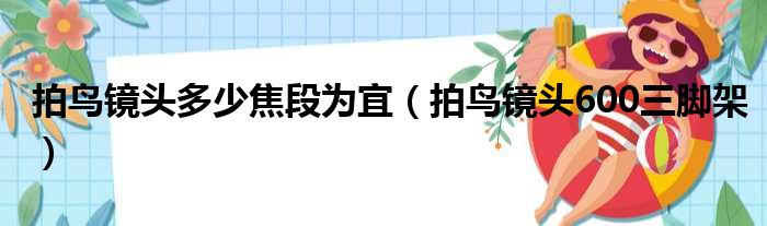 拍鸟镜头多少焦段为宜（拍鸟镜头600三脚架）