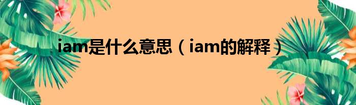 iam是什么意思（iam的解释）