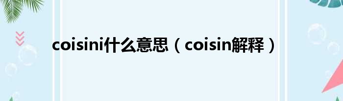 coisini什么意思（coisin解释）