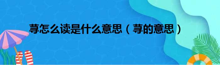 荨怎么读是什么意思（荨的意思）