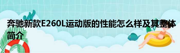 奔驰新款E260L运动版的性能怎么样及其整体简介