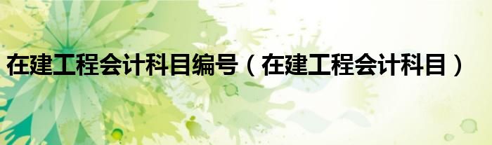  在建工程会计科目编号（在建工程会计科目）