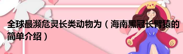 全球最濒危灵长类动物为（海南黑冠长臂猿的简单介绍）