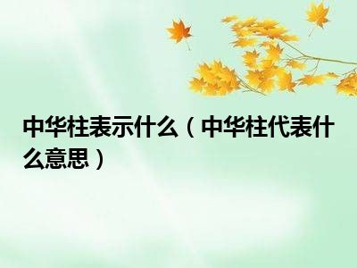 中华柱表示什么（中华柱代表什么意思）