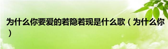  为什么你要爱的若隐若现是什么歌（为什么你）