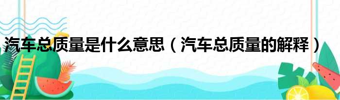 汽车总质量是什么意思（汽车总质量的解释）