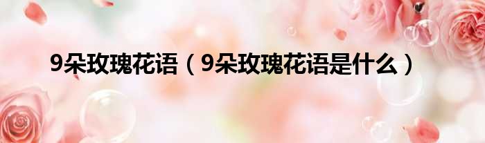 9朵玫瑰花语（9朵玫瑰花语是什么）