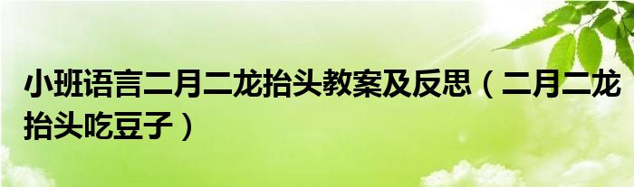  小班语言二月二龙抬头教案及反思（二月二龙抬头吃豆子）