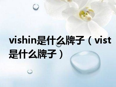 vishin是什么牌子（vist是什么牌子）