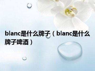 blanc是什么牌子（blanc是什么牌子啤酒）