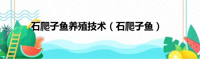 石爬子鱼养殖技术（石爬子鱼）