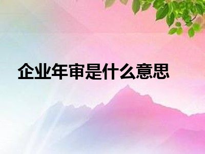 企业年审是什么意思