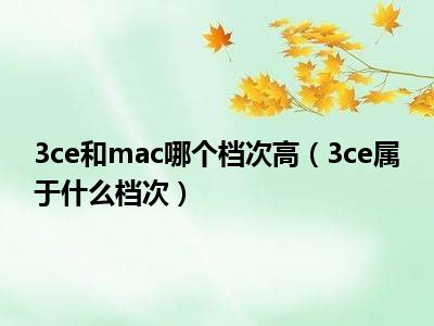 3ce和mac哪个档次高（3ce属于什么档次）