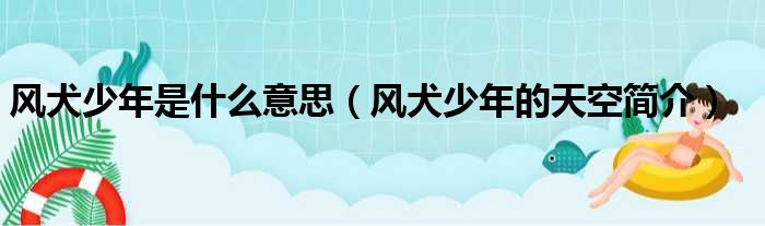 风犬少年是什么意思（风犬少年的天空简介）