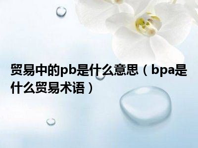 贸易中的pb是什么意思（bpa是什么贸易术语）