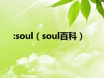 :soul（soul百科）