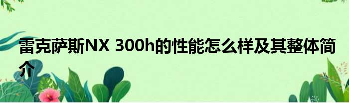 雷克萨斯NX 300h的性能怎么样及其整体简介