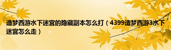 造梦西游水下迷宫的隐藏副本怎么打（4399造梦西游3水下迷宫怎么走）