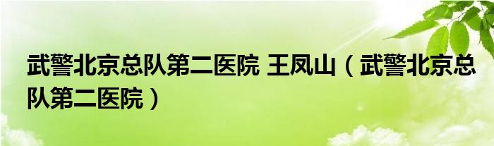  武警北京总队第二医院 王凤山（武警北京总队第二医院）