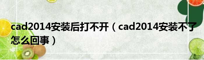 cad2014安装后打不开（cad2014安装不了怎么回事）