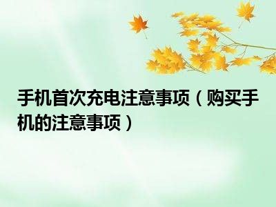 手机首次充电注意事项（购买手机的注意事项）