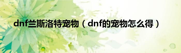  dnf兰斯洛特宠物（dnf的宠物怎么得）