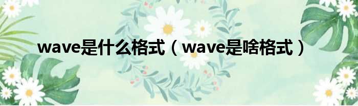 wave是什么格式（wave是啥格式）