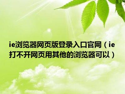 ie浏览器网页版登录入口官网（ie打不开网页用其他的浏览器可以）