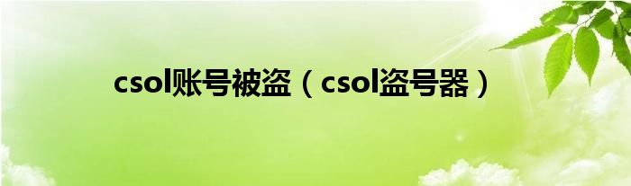  csol账号被盗（csol盗号器）