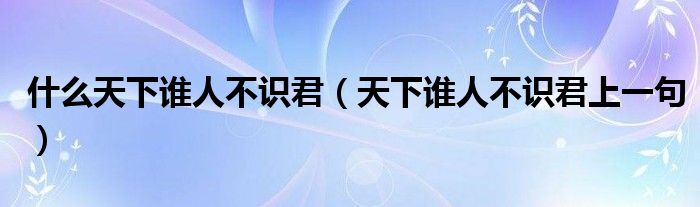  什么天下谁人不识君（天下谁人不识君上一句）