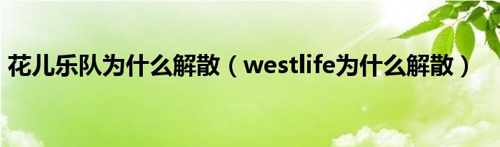  花儿乐队为什么解散（westlife为什么解散）