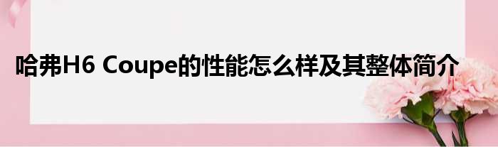 哈弗H6 Coupe的性能怎么样及其整体简介