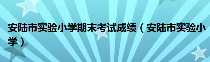  安陆市实验小学期末考试成绩（安陆市实验小学）