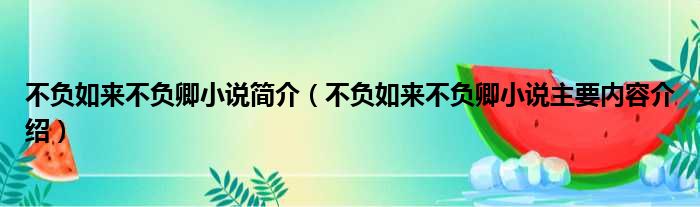 不负如来不负卿小说简介（不负如来不负卿小说主要内容介绍）